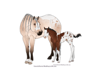 E993CF03-9E44-4080-B905-16427EB448E2