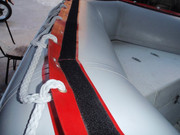 mimosos en berisso 207