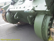 IMG-6306