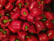 IMG-20190407-111936