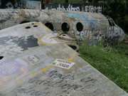 [Image: 10-B6-AD55-7-A1-B-4-DD1-909-D-28-AF3-FC449-F1.jpg]