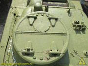 IMG-3231