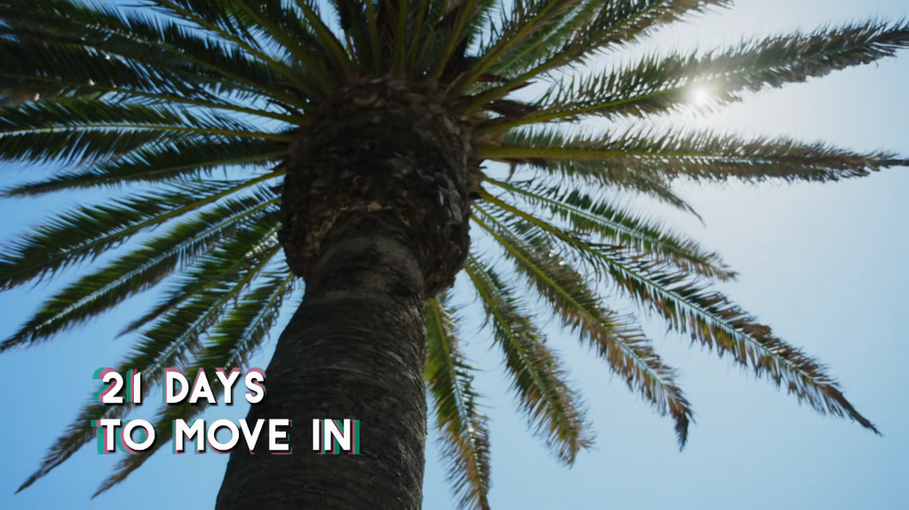 [Image: wm66j3h2iojy.png]