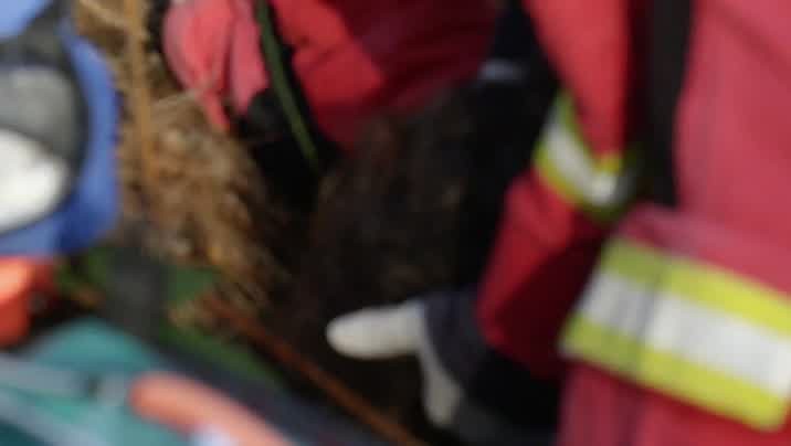 [Image: w1fgl97hacd7.jpg]