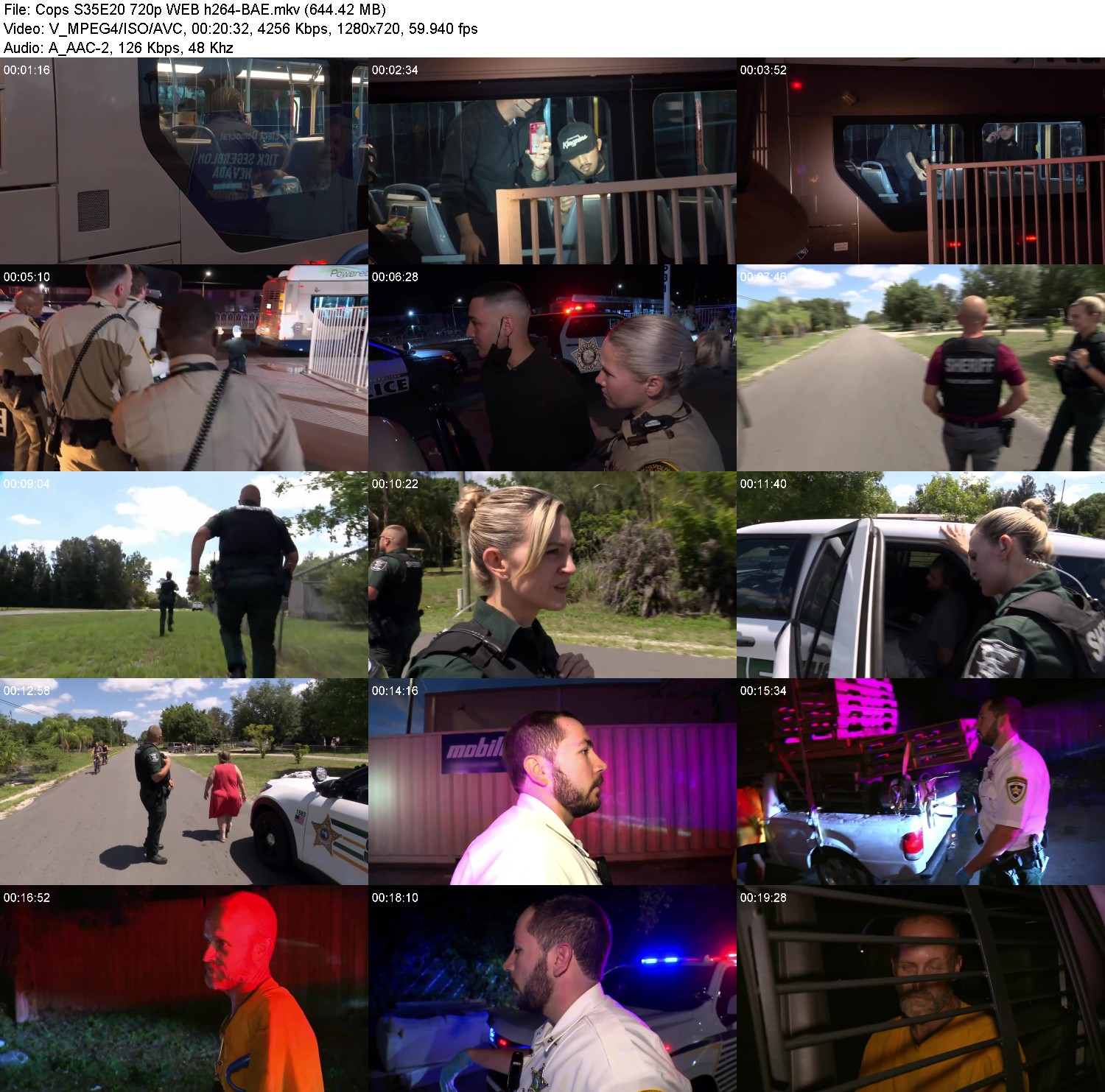 [Image: gw9ro74gau9g.jpg]