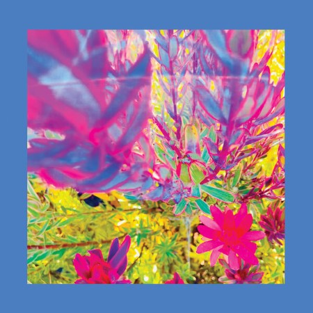The Reds, Pinks and Purples - The Past Is a Garden I Never Fed (2025)