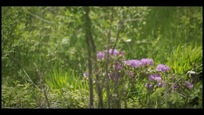 [Image: jqxql08ja39o.png]