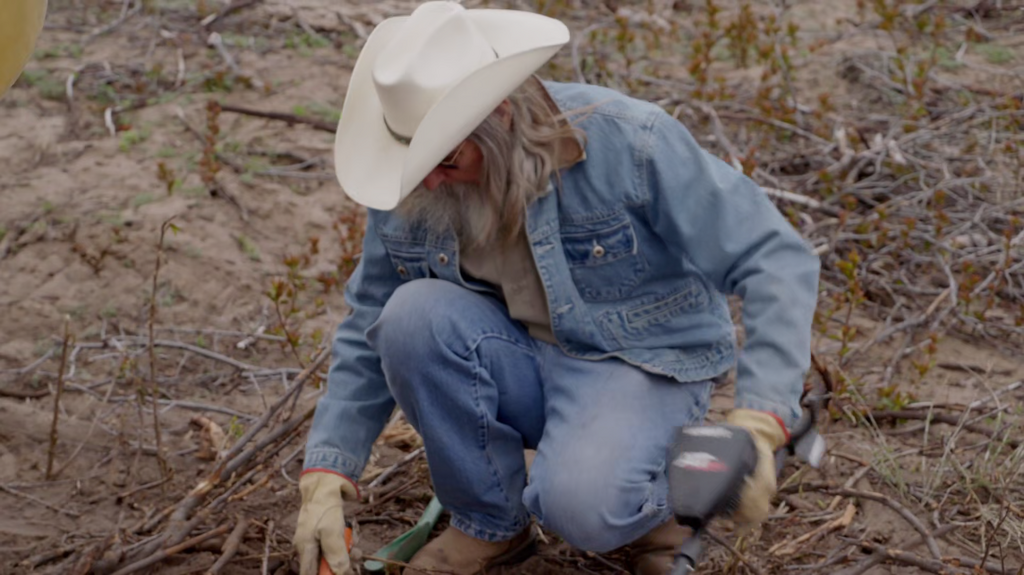 [Image: 2e1rxwdsw-p26.png]