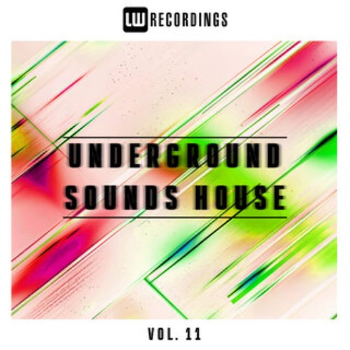 VA - Underground Sounds House, Vol. 11 (2026) FLAC