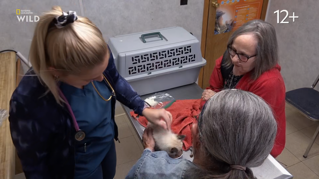 [Image: yj03z8w8rydl.png]