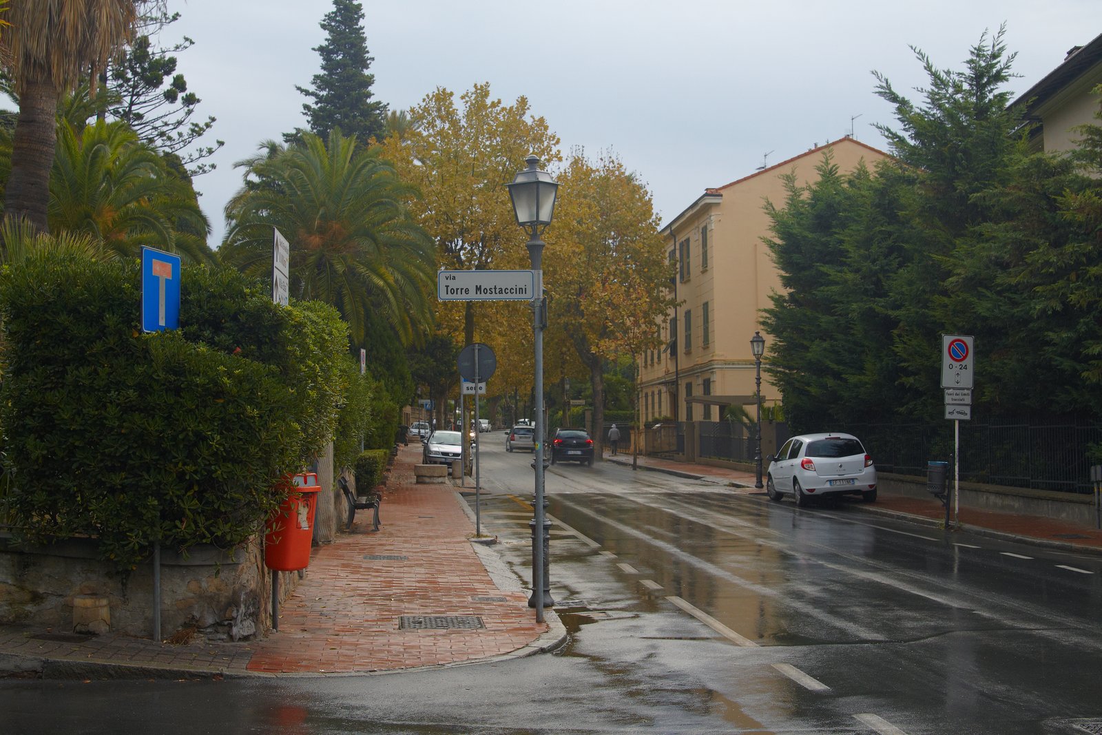 296409.jpg