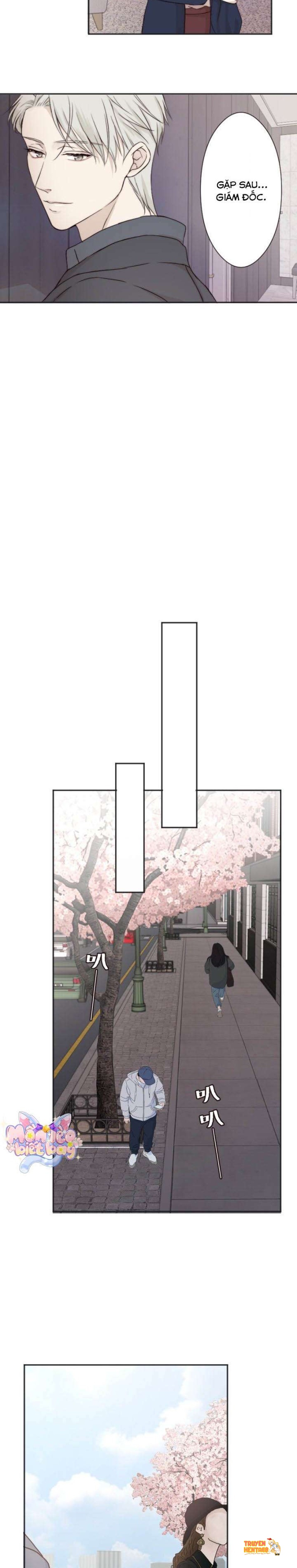 Xem ảnh Cám Dỗ Nguy Hiểm - Chapter 19 - tmprghzqet8 - Truyenhentaiz.net