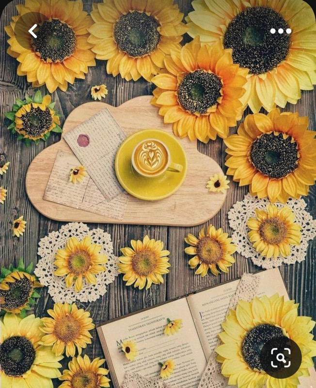 Screenshot_20230528_211706_Pinterest