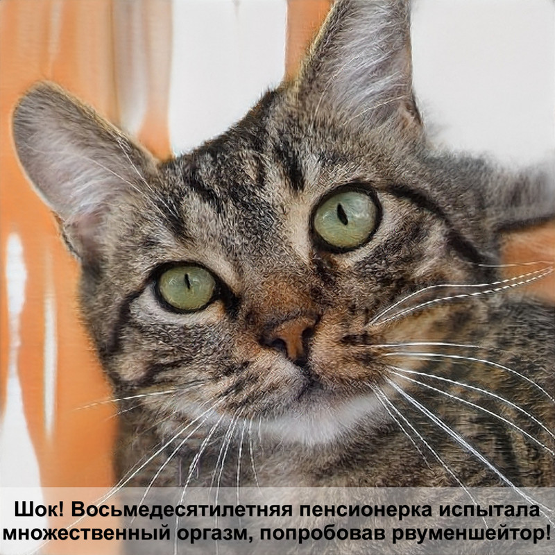 две ладошки нежные кошки