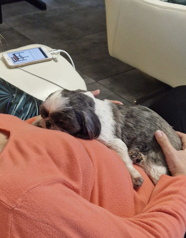 [Image: 8723-F89-E-E3-F4-441-A-80-B6-450810629-E07.jpg]