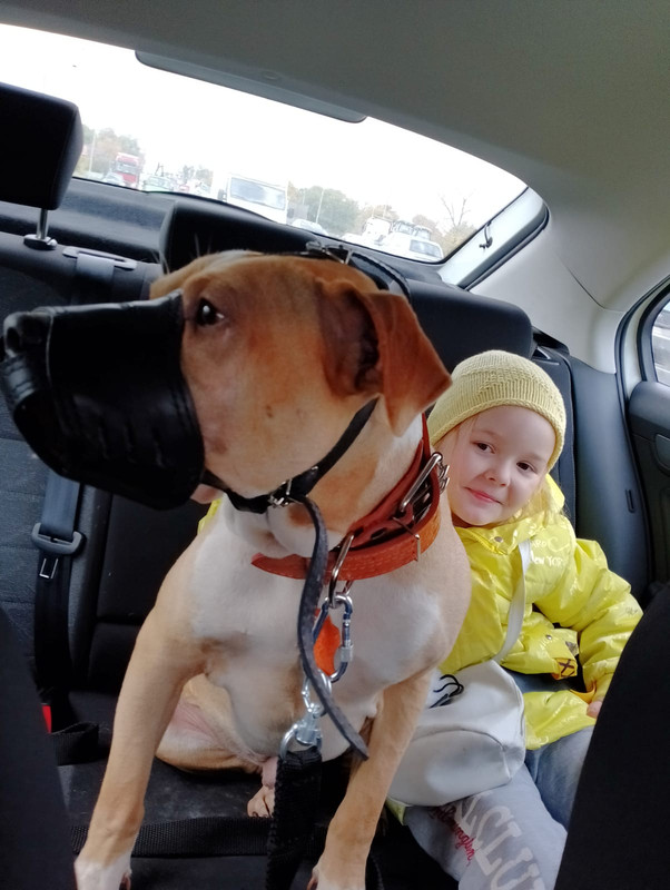 DBC08AA5-4FF6-474A-AF02-24FE44D39FF3