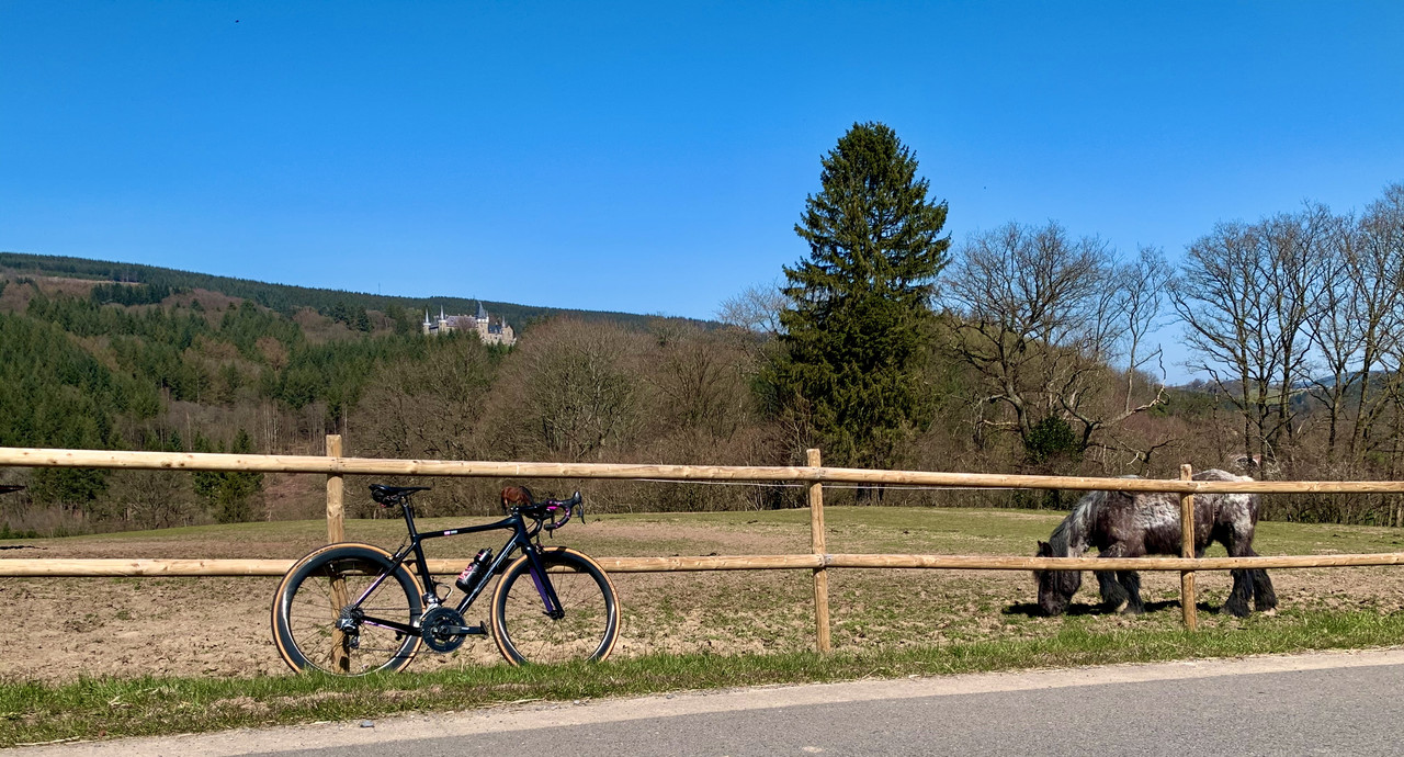 AB555D75-D4C9-4142-BE0C-1C2A9505C480_1_201_a