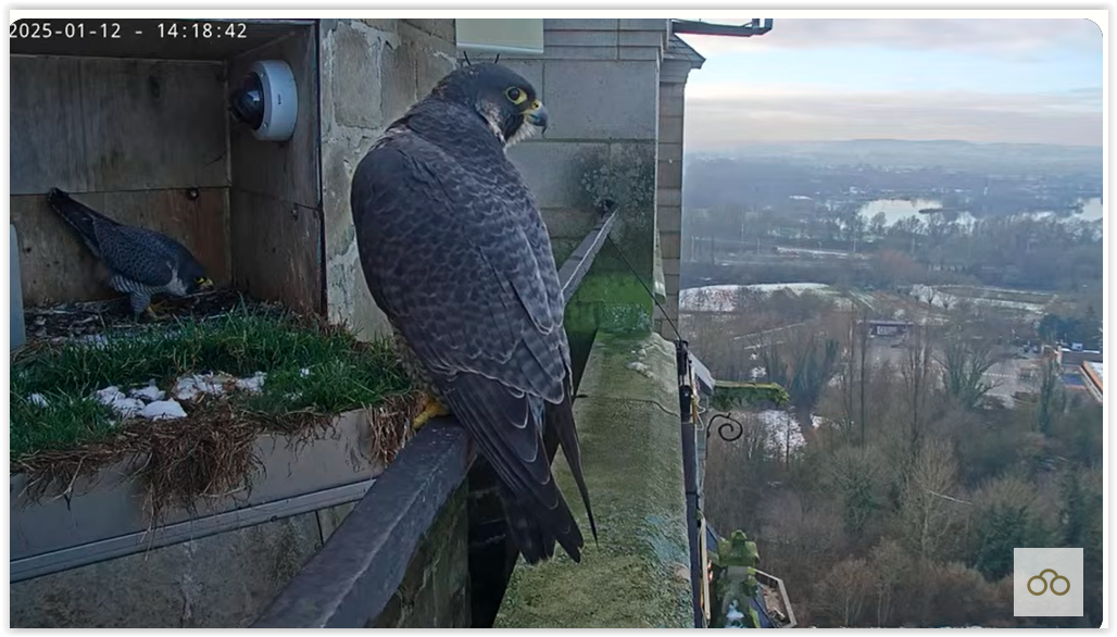 Screen Shot 01-12-25 at 07.12 PM 002