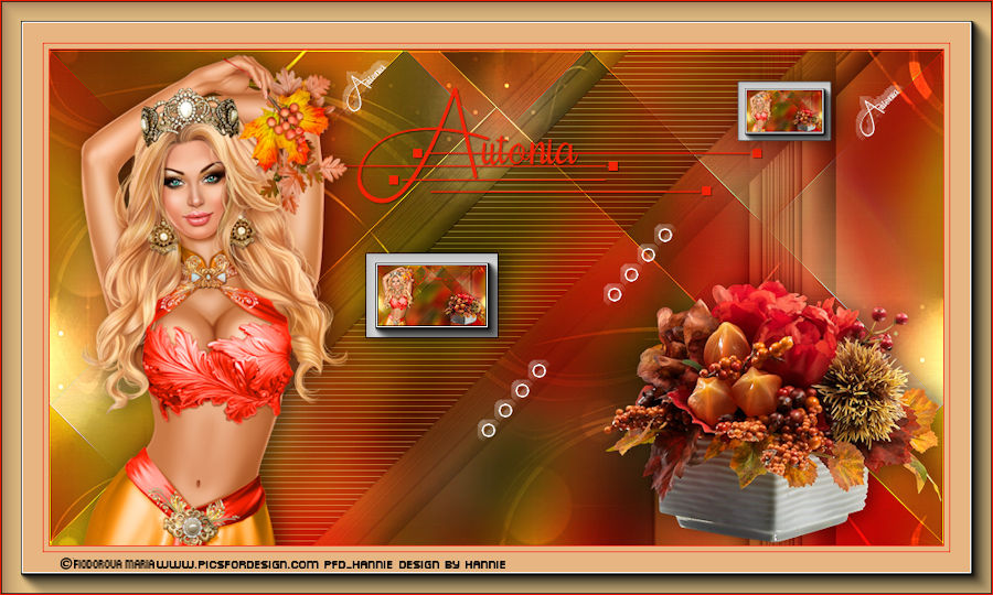 [Bild: autoniakniri.jpg]