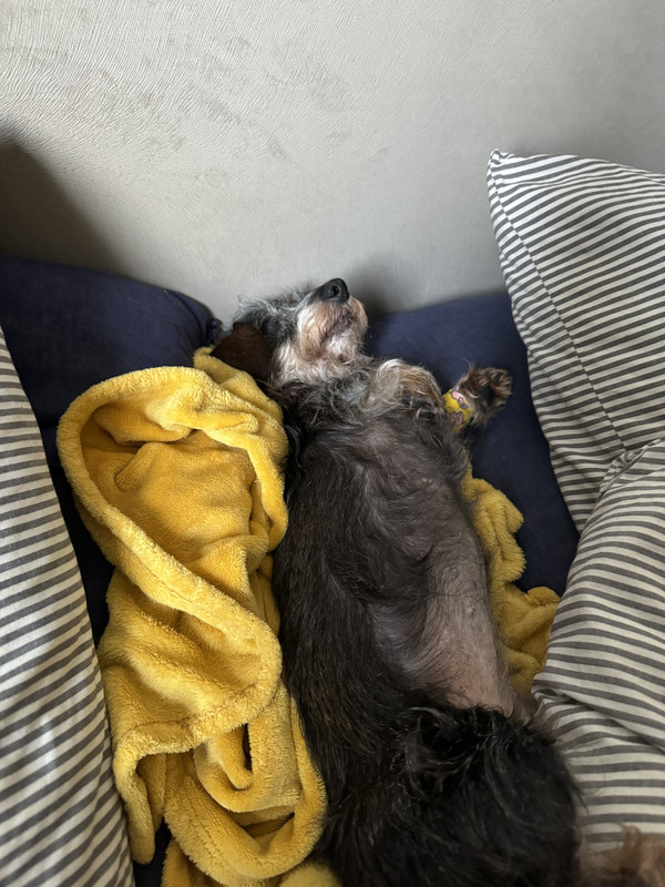 [Image: IMG-2191.jpg]