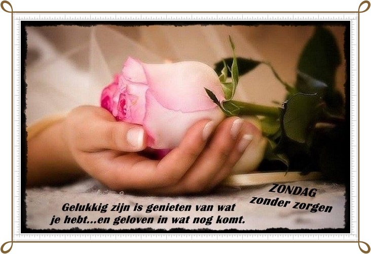 welkom opblog Bunic Jos
