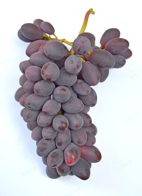 Виноград Малиновая заря