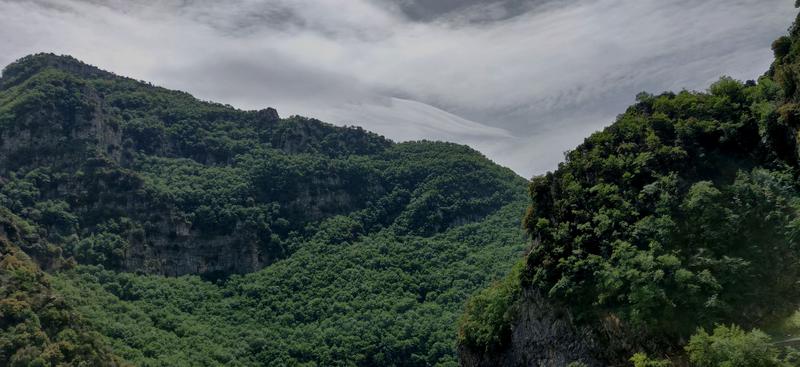 IMG_20190609_122226.jpg.1