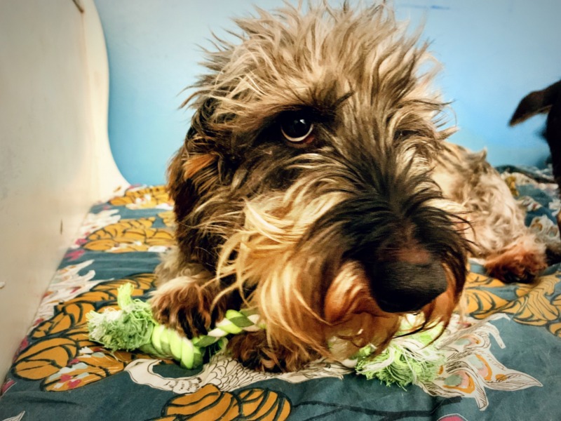 [Image: IMG-1657.jpg]