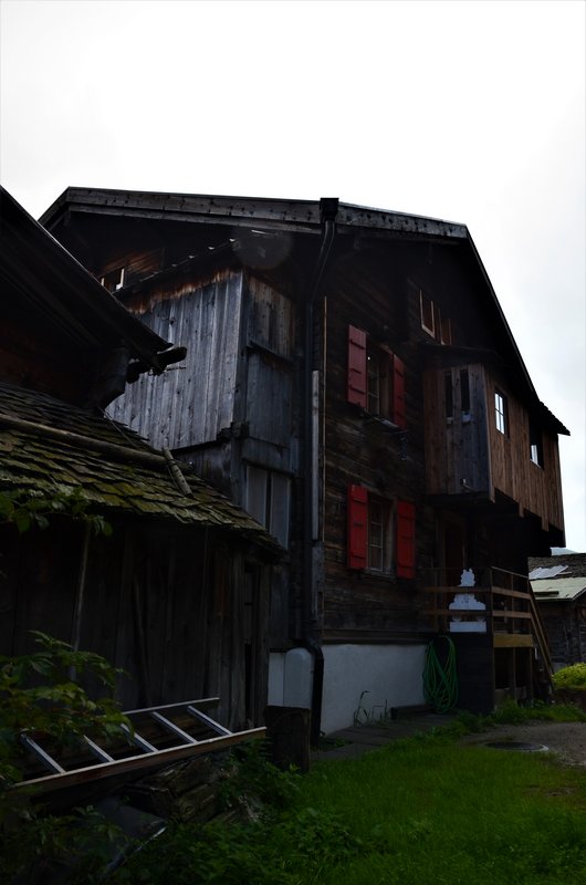 MÜNSTER Y RECKINGEN-8-9-2019 - Suiza y sus pueblos-2019 (8)