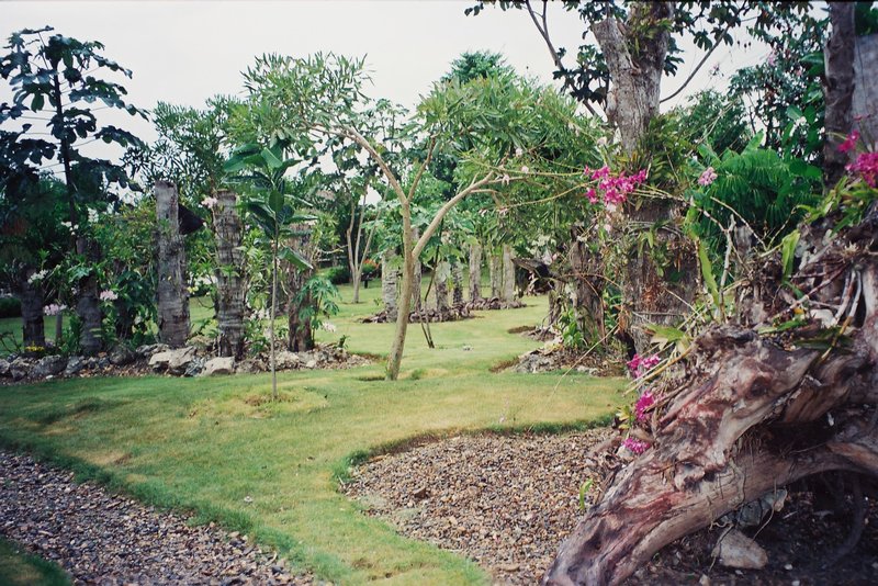 Hotel Fiesta Palace 5* - República Dominicana y sus pueblos-1998/1999/2004 (38)