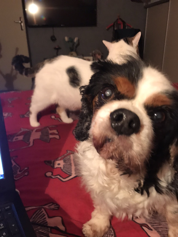 275030B3-927F-4985-B3EC-16E41A090F79