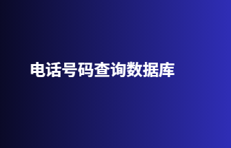 电话号码查询数据库
