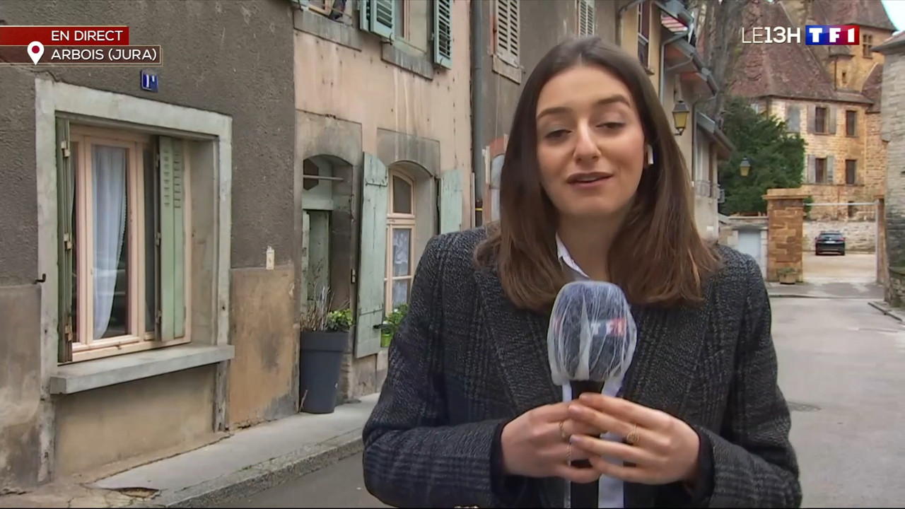 2021-02-04_13_00_TF1_Le-13h.mp4_snapshot_00.22.59.537