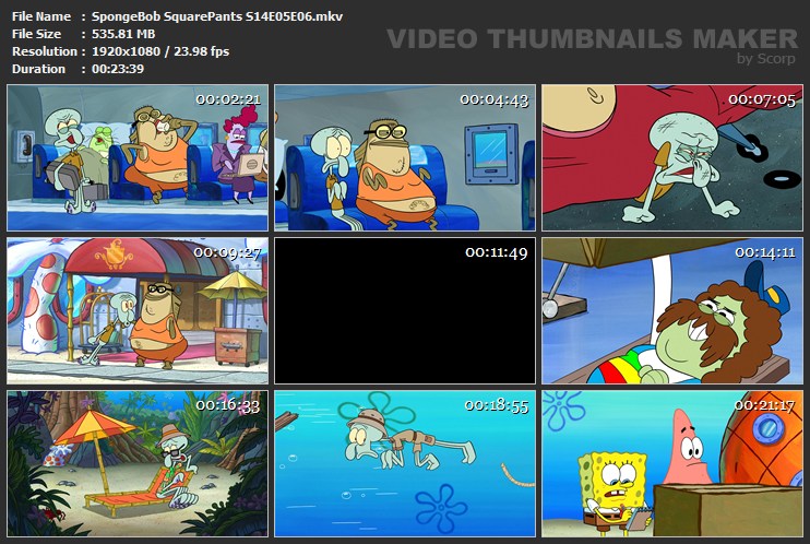 SpongeBob SquarePants S14E05E06.mkv