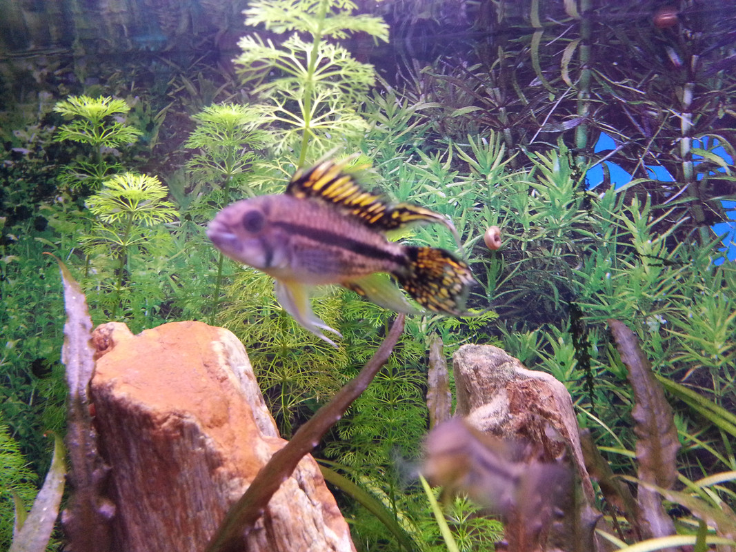 AA707A43-F558-4A99-A8FB-1065AE0B127B