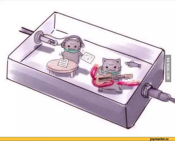 смешные-картинки-котэ-живность-картинки-1730423