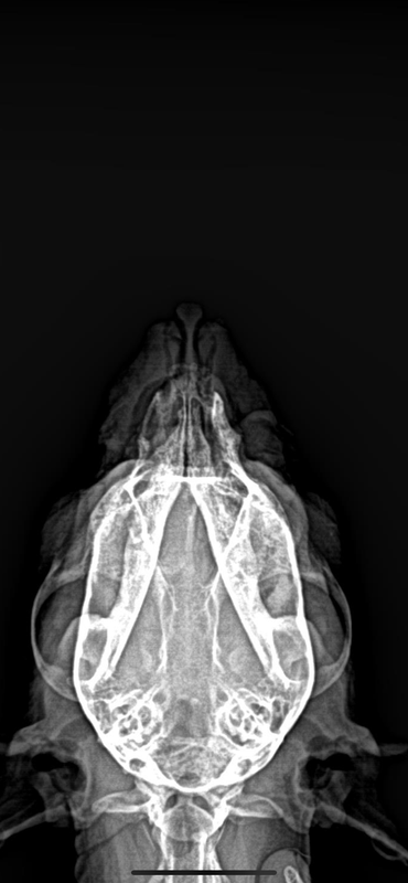 7A14B198-6B82-455E-BB67-352086676684