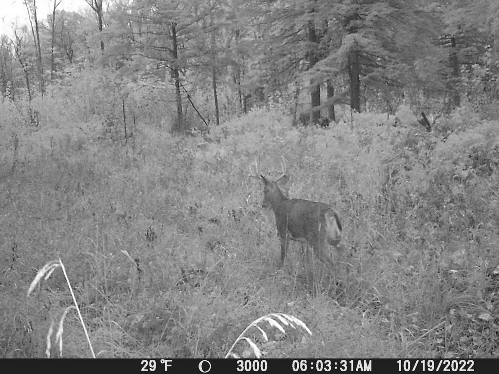 FF059C62-158A-4F0E-BFF9-3561FEBB7D76