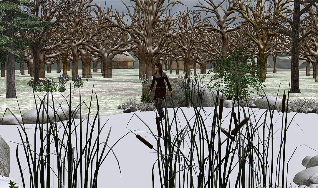 screenshot_2026_01_10_17_27