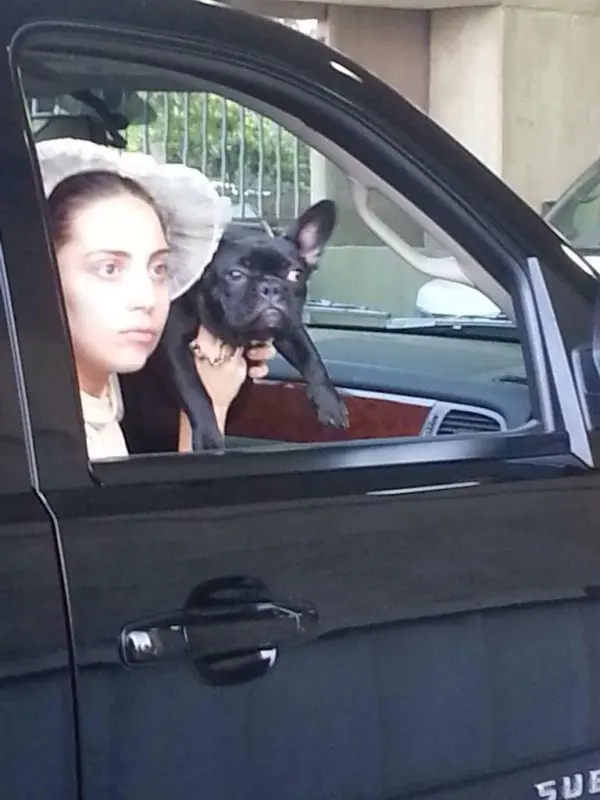 7-16-14-Arriving-at-Toyota-Center-in-Hou