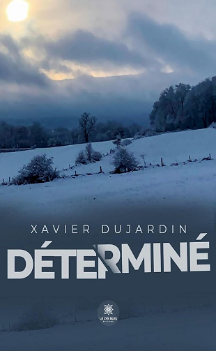 695f96f73efb3384987758-determine-xavier-dujardin-2025.jpg