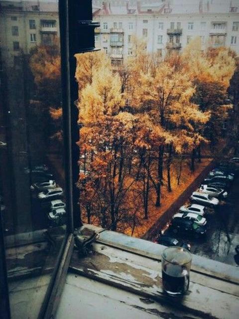 5fee2822367a50c5aa5674403b24c6a4