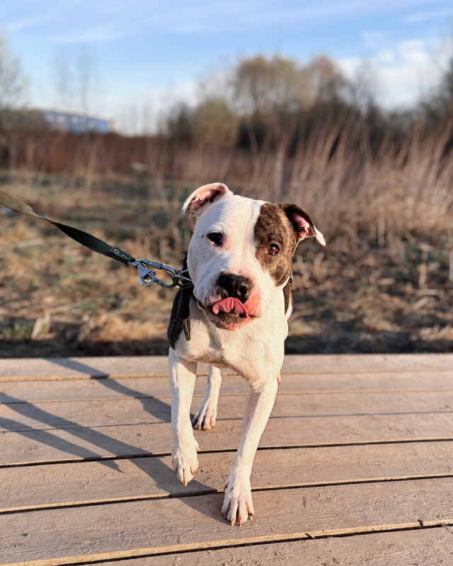 FF15ADE1-0C92-4DBB-B617-10978B3F9137