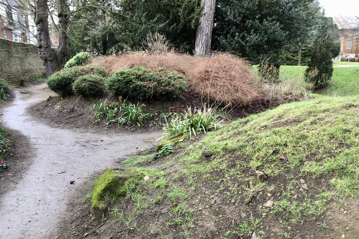 7A3E354D-4F8B-43D2-B550-DCC44ED40B9F