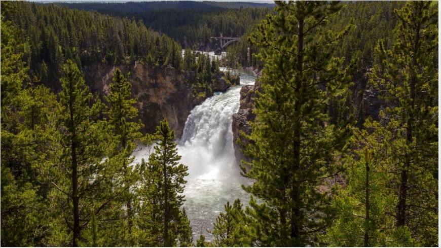 Forests-Rivers-Waterfalls-Fir-Nature-wal