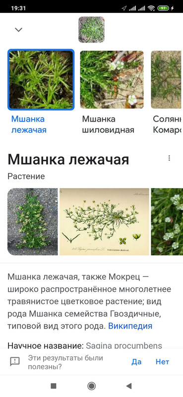 Screenshot_2022-05-29-19-31-59-283_com.google.android.googlequicksearchbox