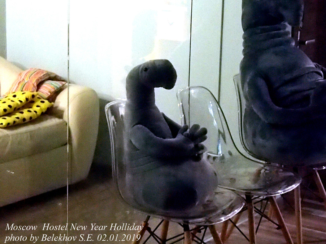 хостел, Москва