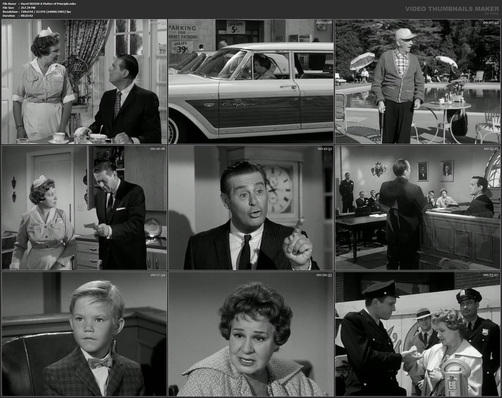 Hazel S01E04 A Matter of Principle.mkv