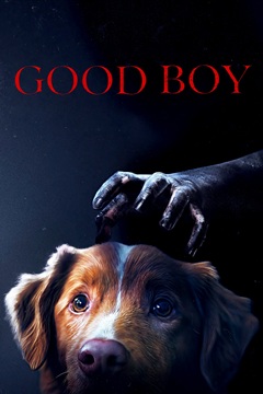 Good Boy 2025 480p WEB-DL x264-TFPDL