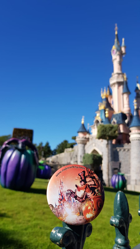 WhatsApp Image 2018-09-26 at 12.29.07 (1)